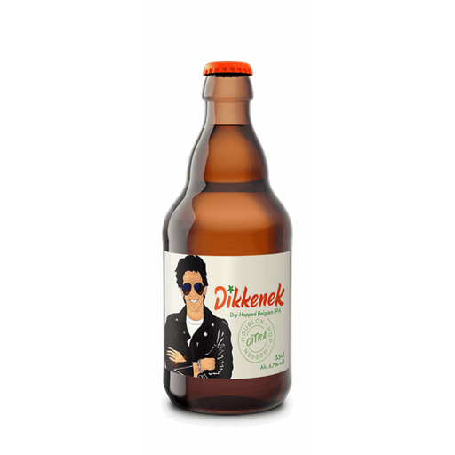 [LEFE13001] Dikkenek Citra CAN 33cl x01